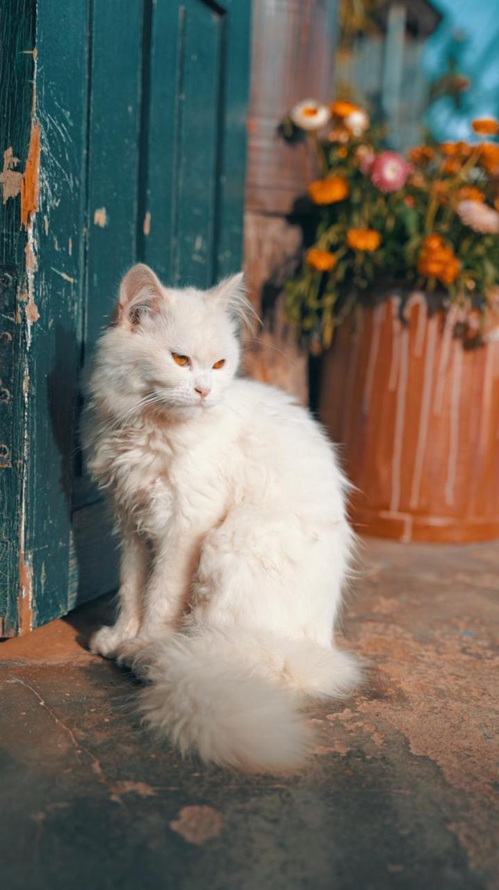 Nhien Farm Homestay Xuan Truong Dış mekan fotoğraf